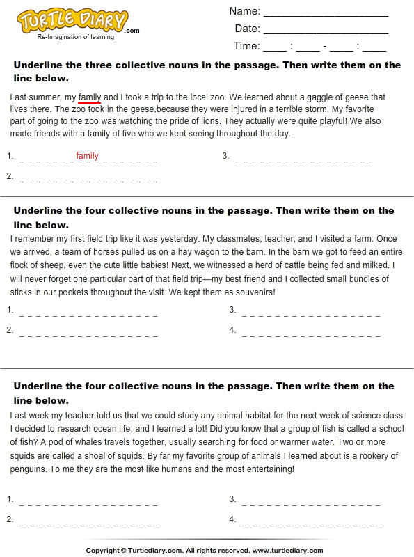 Identify Collective Nouns in the Passage Worksheet - Turtle Diary