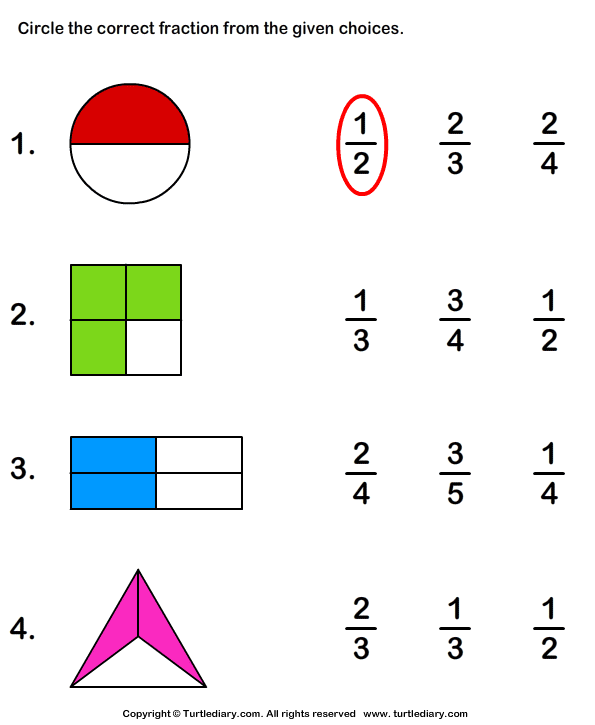 Identify Fraction Represented By Shaded Part Worksheet Turtle Diary