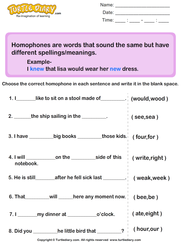identify homophones in the sentence turtle diary worksheet
