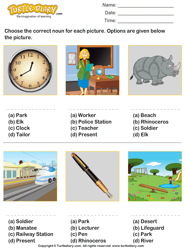 identify-noun-for-the-given-picture-worksheet-turtle-diary
