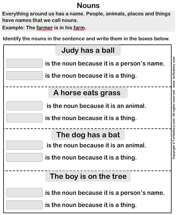Identify Nouns In The Sentence Turtle Diary Worksheet