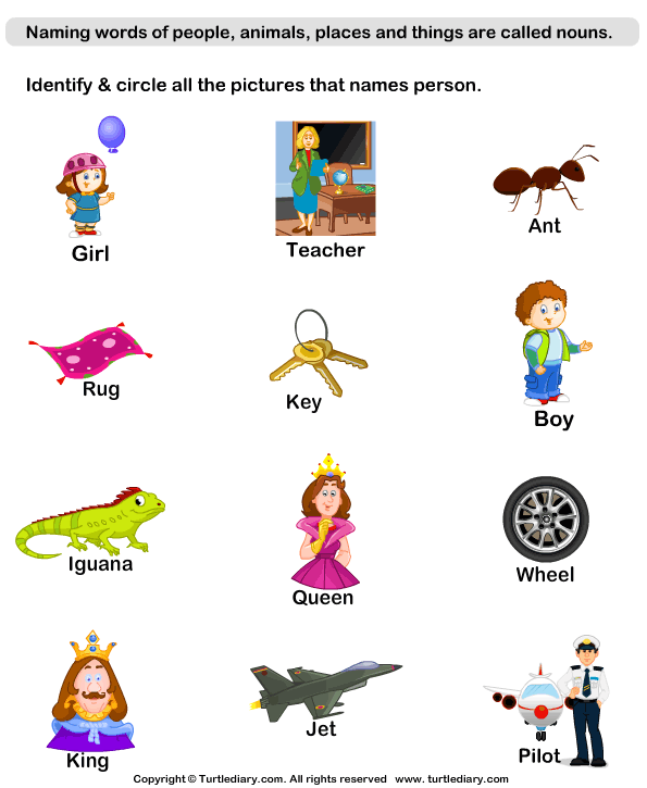 Identify Person Nouns Worksheet - Turtle Diary