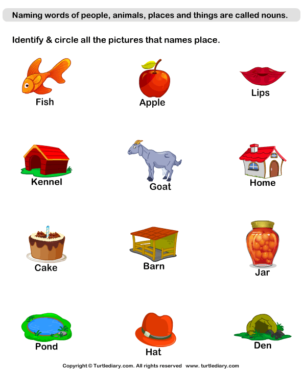Identify Place Nouns Worksheet Turtle Diary