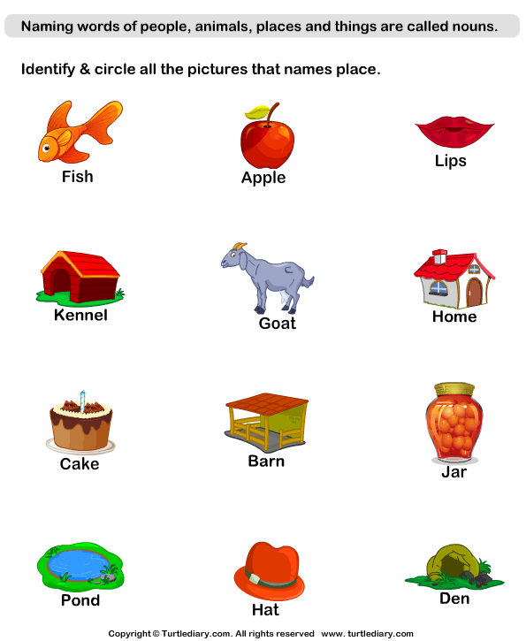 identify-place-nouns-turtle-diary-worksheet