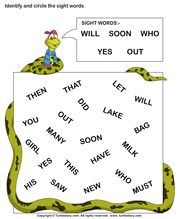 Identify Sight Words Will Soon Who Yes Out Worksheet - Turtle Diary