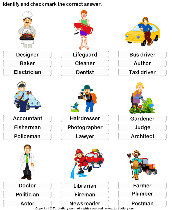 vocab worksheet animal Diary Identify Occupation Job and  Worksheet the  Turtle