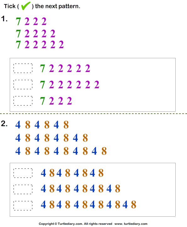 Identify the Next Sequence of Numbers in the Pattern Turtle Diary