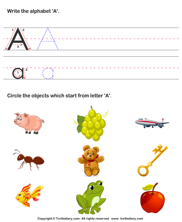 Things That Start With Z For Preschoolers