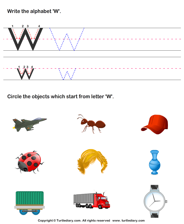 Things That Start With Wh Many Words Begin With Letter Q Vector Illustration Learning How 