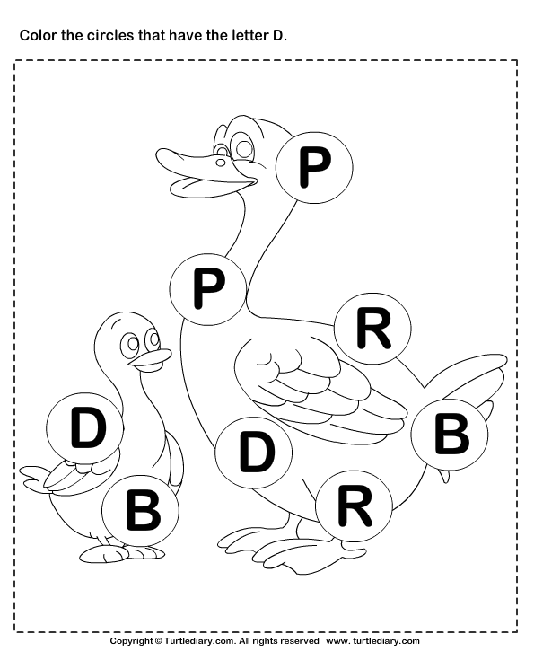 identifying letter d worksheet turtle diary