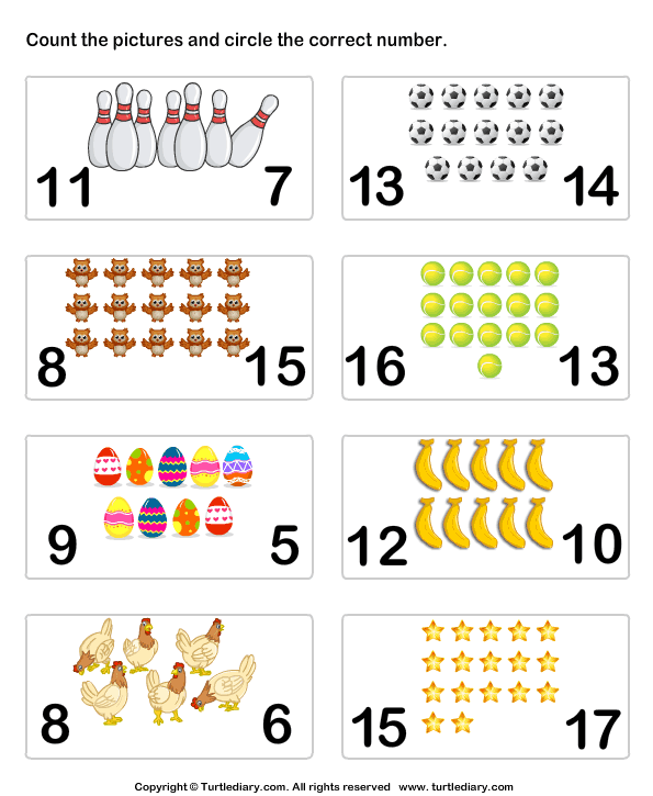 Identifying Numbers and Objects Worksheet - Turtle Diary