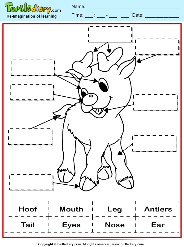 1 worksheets free body parts for grade Turtle  Worksheet  Diary Reindeer Label
