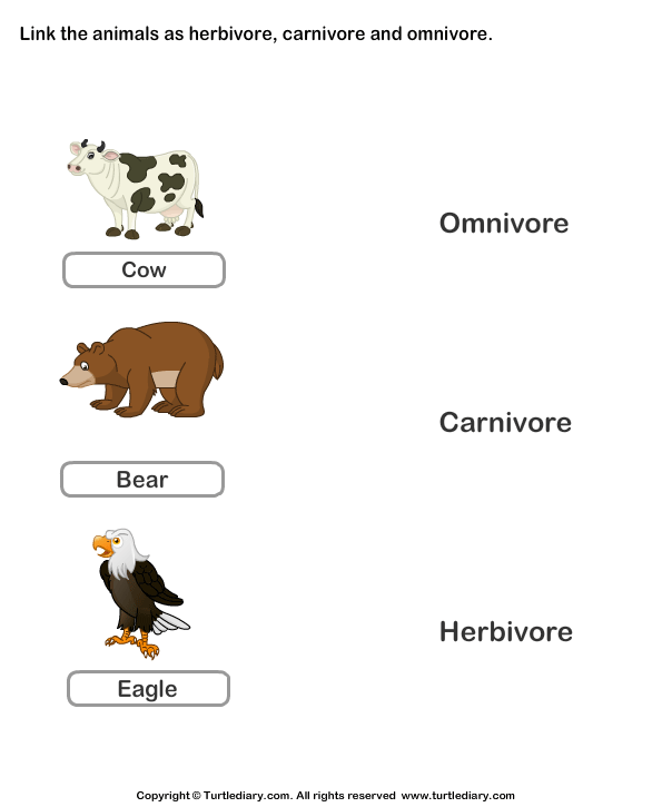 for worksheets online preschoolers of and Herbivores Carnivores List Omnivores Animals