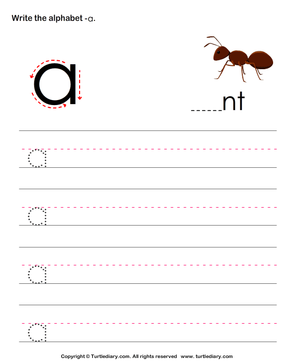 lowercase alphabet writing practice a turtle diary worksheet