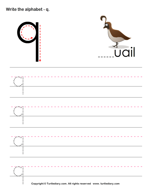 lowercase alphabet writing practice q worksheet turtle diary