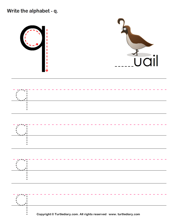 lowercase alphabet writing practice q turtle diary worksheet