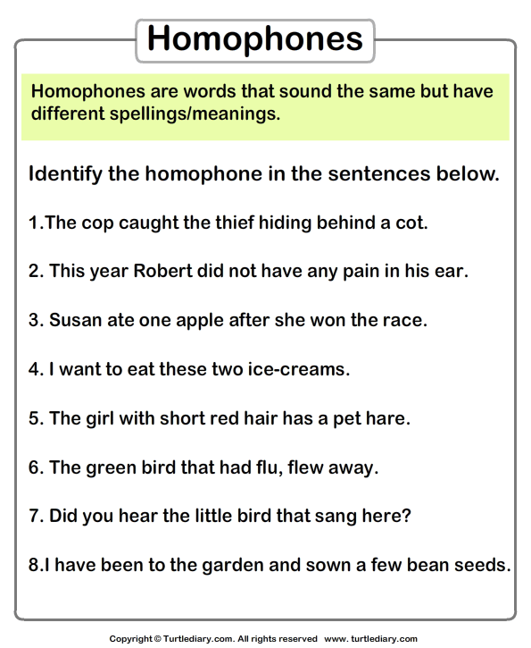 mark homophones in the sentences turtle diary worksheet