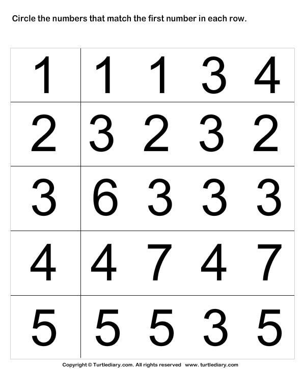 Match Numbers Worksheet - Turtle Diary