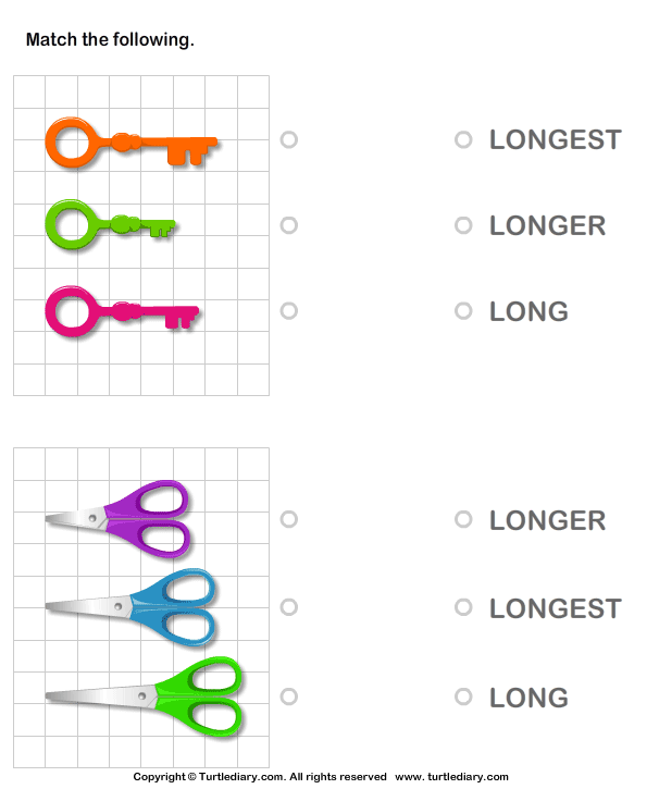 Match Objects with Words Long Longer Longest Worksheet - Turtle Diary