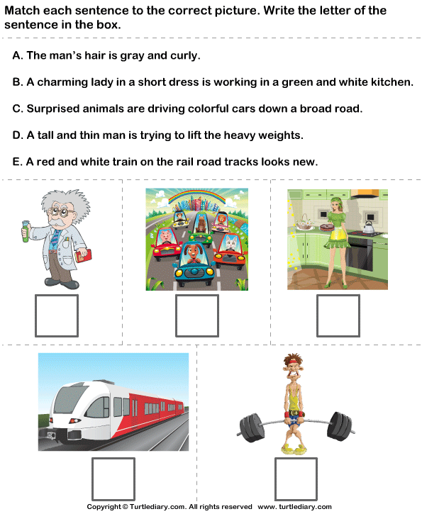 Match Sentences with Pictures Worksheet - Turtle Diary