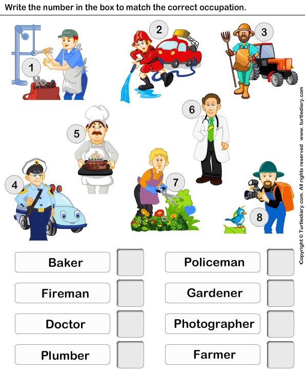 Worksheet Occupation For Kindergarten