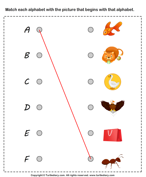 Match Alphabets to the Objects