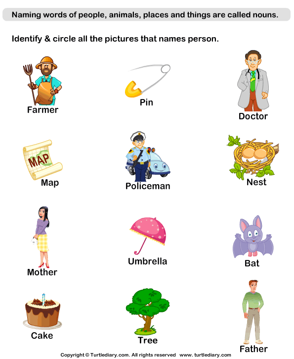 common and proper nouns answer key