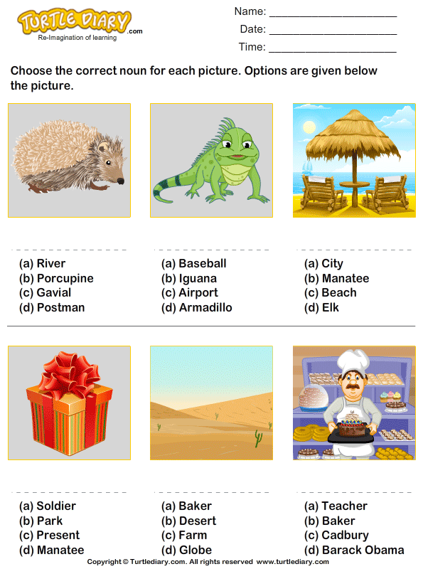 Noun Choose the Correct Option Worksheet - Turtle Diary