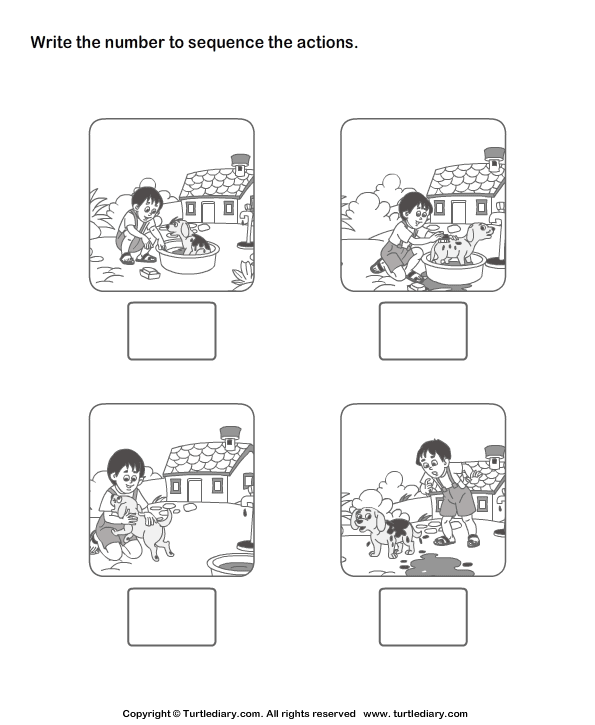 Picture Sequencing Boy Washing His Pet Worksheet Turtle Diary