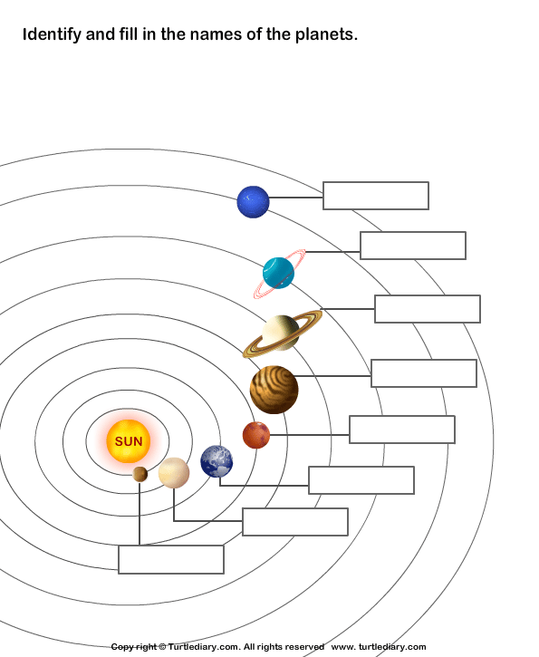 printable system worksheet solar System of Planets Solar Turtle Worksheet Diary