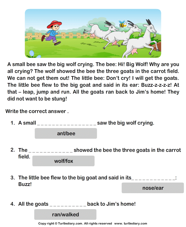 verbs-is-am-are-turtle-diary-worksheet-identifying-verbs-turtle-diary