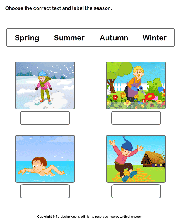 seasons of the year worksheets