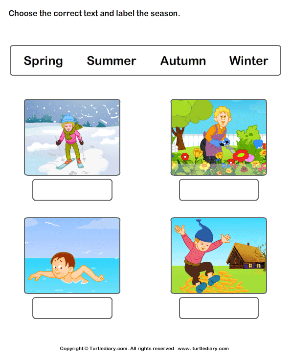 Seasons of the Year Worksheets Worksheet Turtle Diary