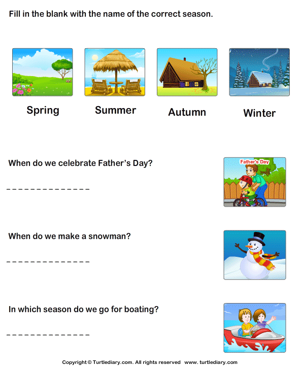 Seasons Questions Worksheet - Turtle Diary