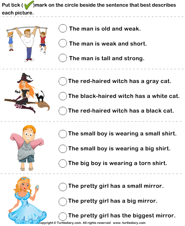 grade 1 a/an worksheet Worksheet Diary Describing Sentence  Turtle Pictures