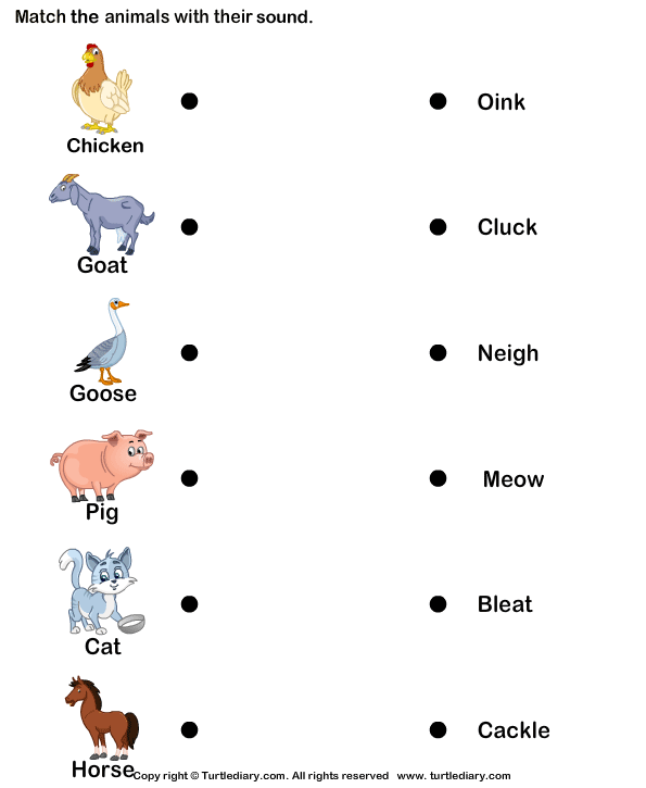 movements pdf animal worksheet Worksheet Sounds of Diary  Turtle Animals Farm