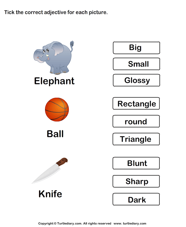 Tick Adjectives for Pictures of Elephant Ball Knife Worksheet - Turtle