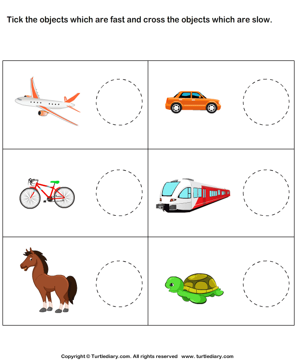 animal worksheet movements Objects  Fast Objects Diary Tick  Worksheet Turtle Cross Slow