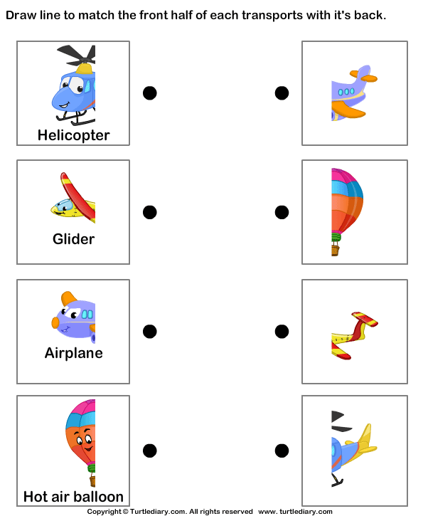 types of air transportation turtle diary worksheet