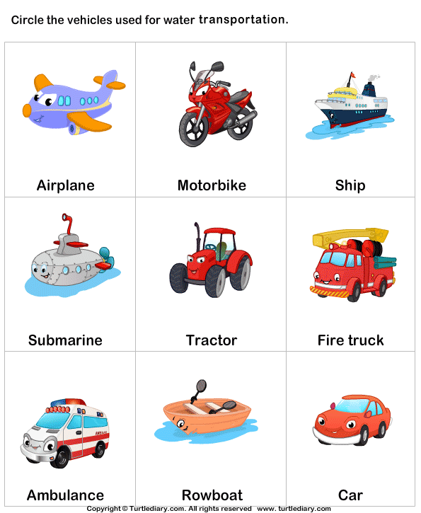 types of water transport turtle diary worksheet