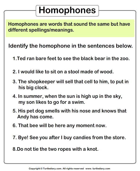 Worksheet Pair Of Homophones With Sentences