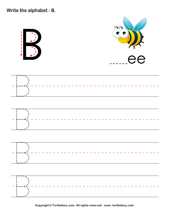 Uppercase Alphabet Writing Practice B Turtle Diary Worksheet