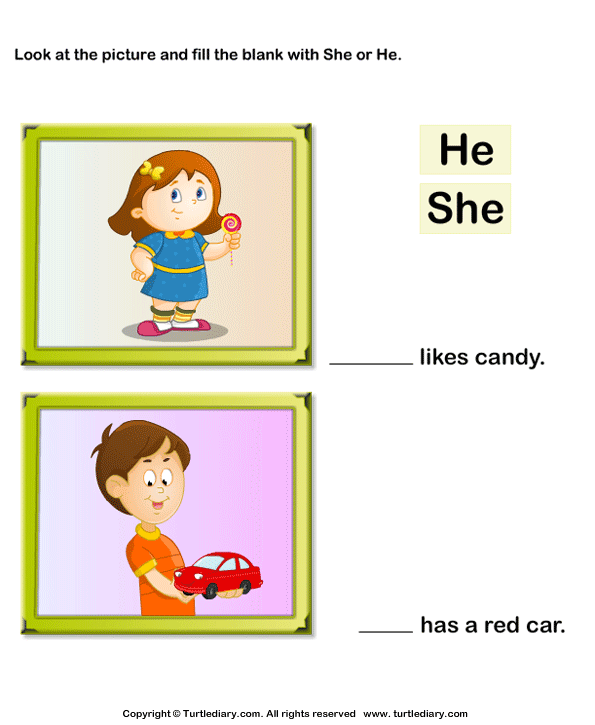 Use of the Words She or He in a Sentence Worksheet ...