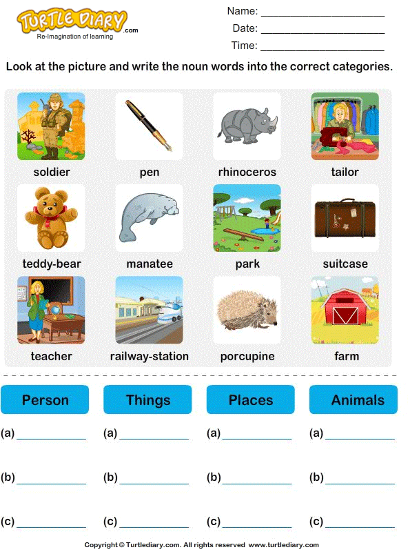 for worksheets free words naming grade 1 the Categories into Turtle  Nouns Write Correct Worksheet