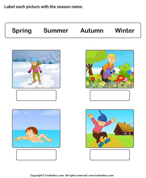 Write Seasons Depicted by Pictures Worksheet - Turtle Diary