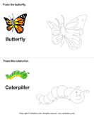Trace the stages of the butterfly life cycle Worksheets for Kindergarten