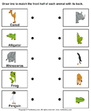animal worksheets turtle diary