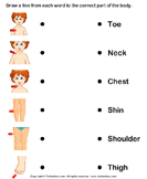 Match Body Parts to Their Names - the-human-body - Kindergarten
