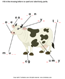 Body Parts of Cow