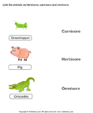 Carnivorous Herbivorous and Omnivorous Animals